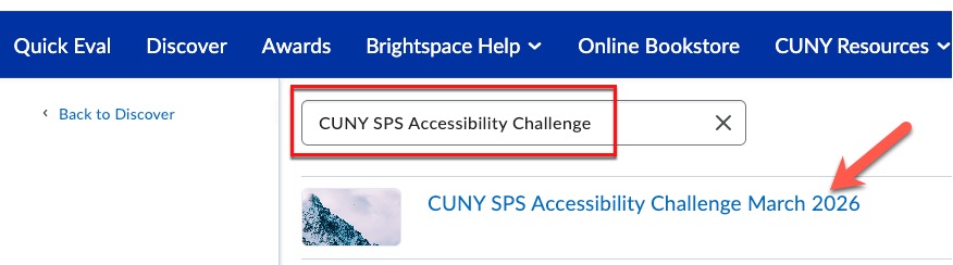 Screenshot of the Discovery area search results for "CUNY SPS Accessibility Challenge"