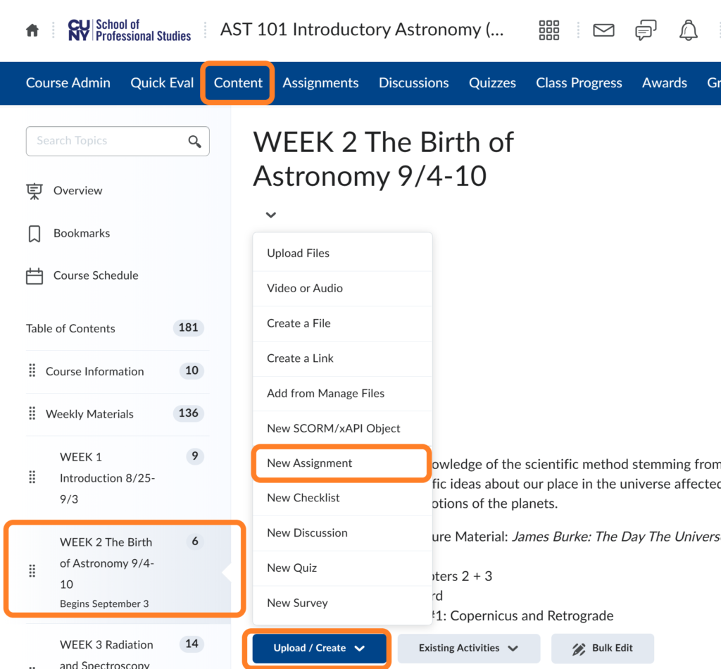 brightspace assignment annotation