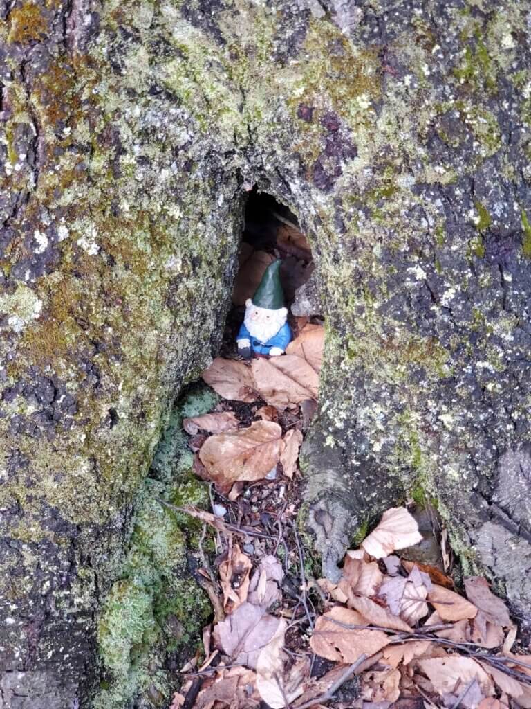 A photo of a toy gnome in a tree trunk at the Minnewaska State Park Preserve.