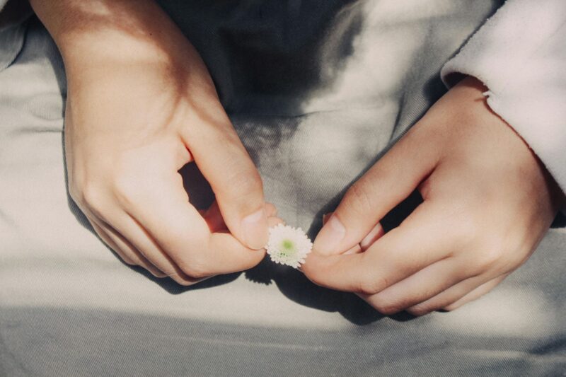 Two hands holding a delicate flower