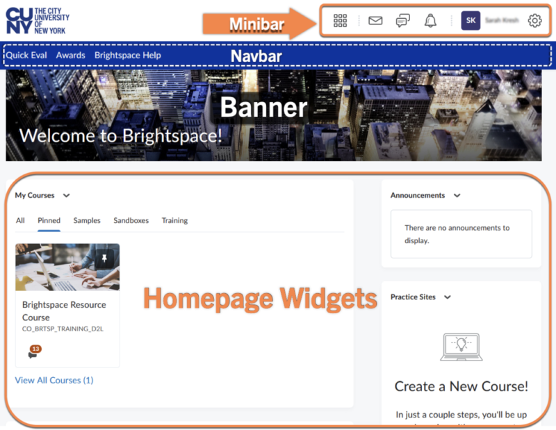 Brightspace homepage widgets